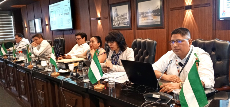 INE prepara entrega de resultados finales del Censo 2024